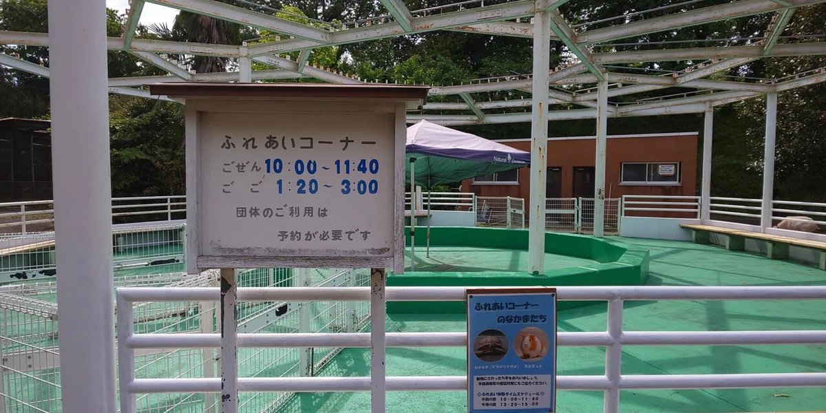 画像82