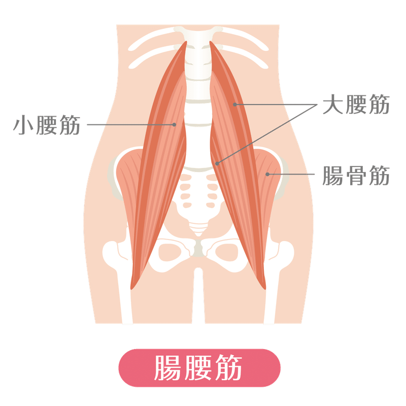 ウィンドウショッピングで腰が痛くなる 骨盤が前や後ろに傾いている 理学療法士兼ライター 中川恵子 Note ウィンドウショッピングで腰が痛くなる 骨盤が前や後ろに傾いている 理学療法士兼ライター 中川恵子 Note