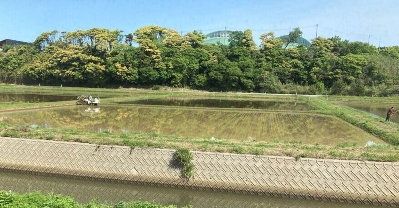 〈今月の新着図書〉新しくはいった本をご紹介！