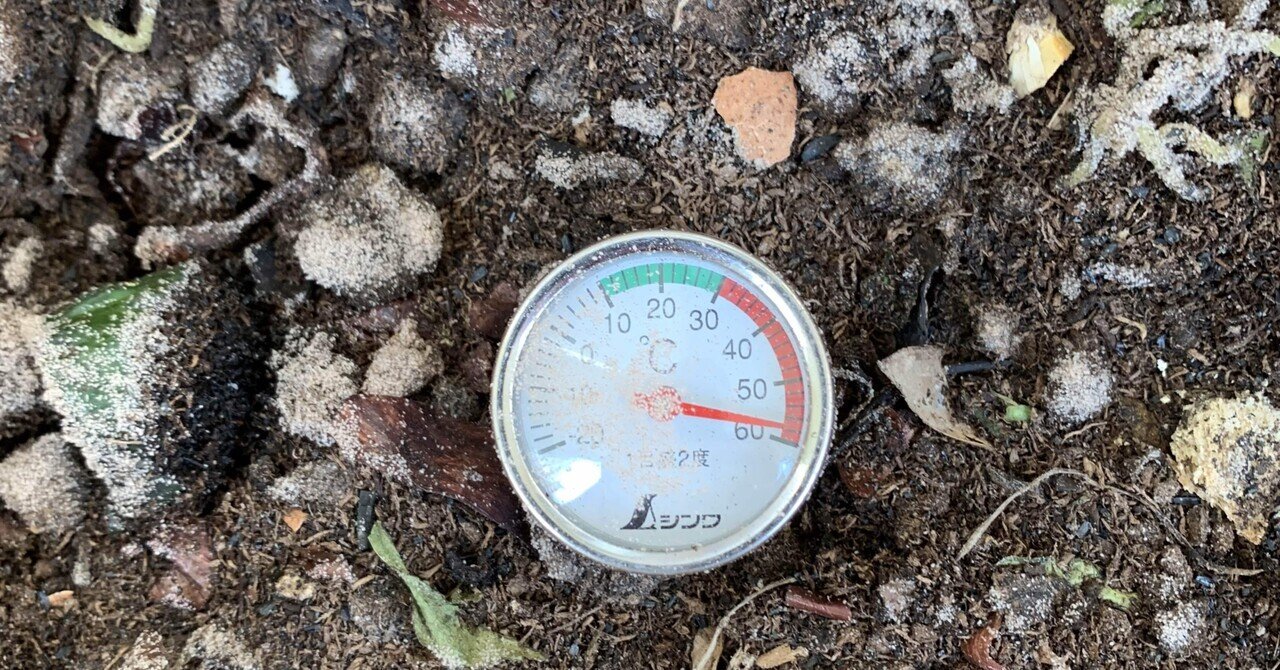 Day コナダニ発生か Compost Challenge Note