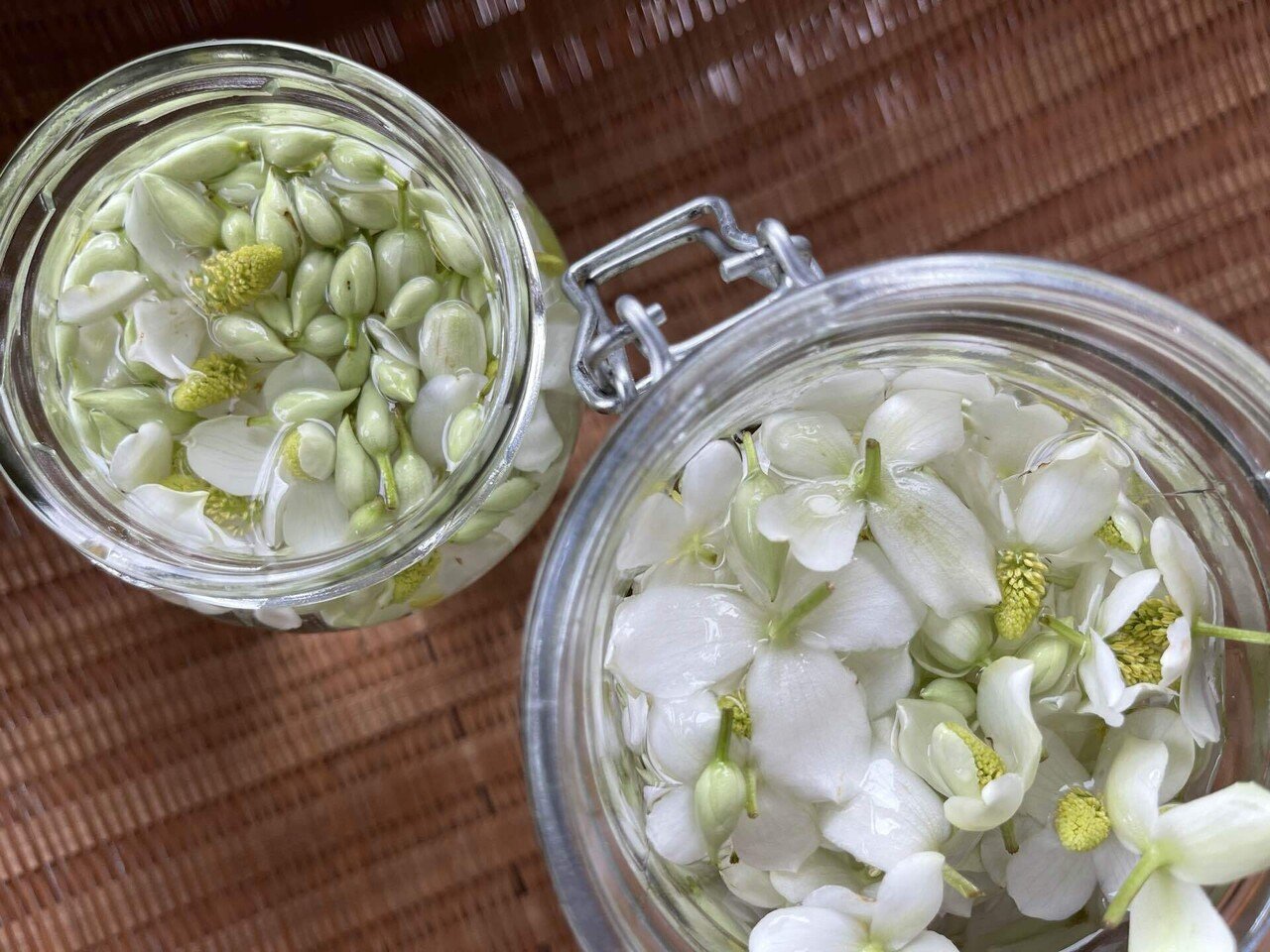 チンキを楽しむ ドクダミ 古休堂 Cokyudou Note チンキを楽しむ ドクダミ 古休堂 Cokyudou Note