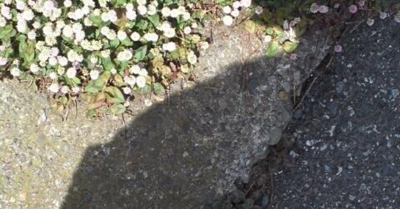 It総合戦略室 が 自慢げにミカン箱みたいな段ボール披露してるのをみて 今年発足予定のデジタル庁の未来が見えました 小林十之助 Note