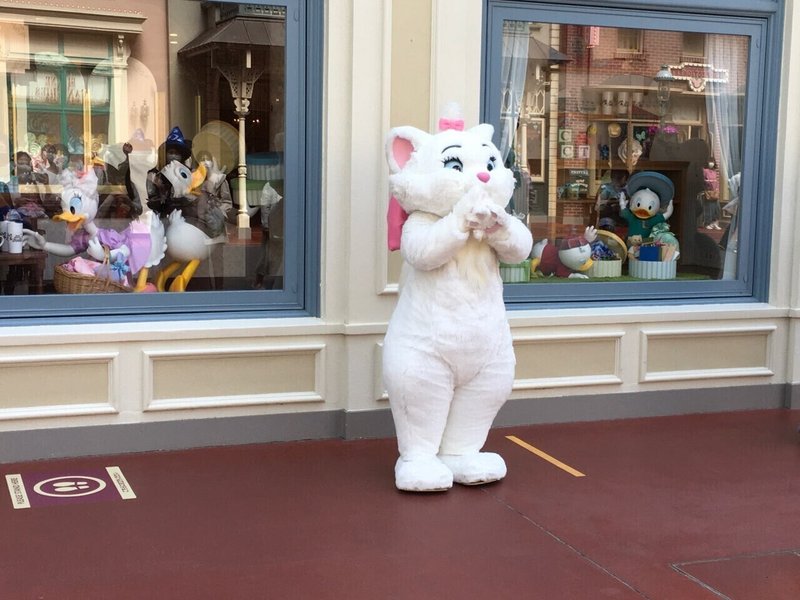 舞浜レポ 抽選に当たらなくても会える 東京ディズニーランドのフリーグリーティング Summyworld Note 舞浜レポ 抽選に当たらなくても会える 東京ディズニーランドのフリーグリーティング Summyworld Note
