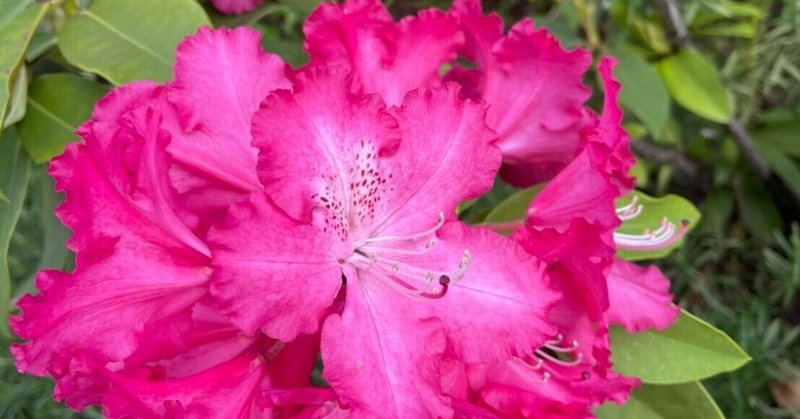 生活リズムのおはなし 恒松あゆみ つねまつあゆみ Note