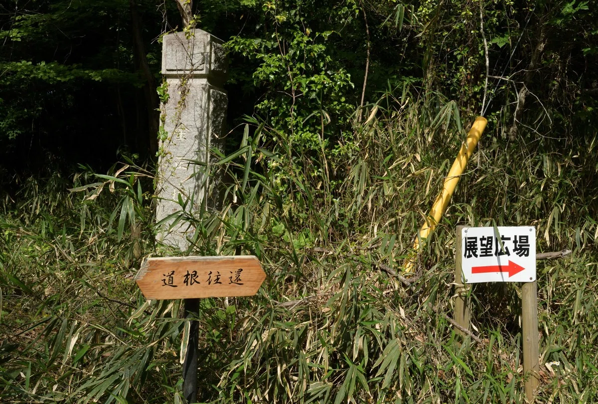 画像7