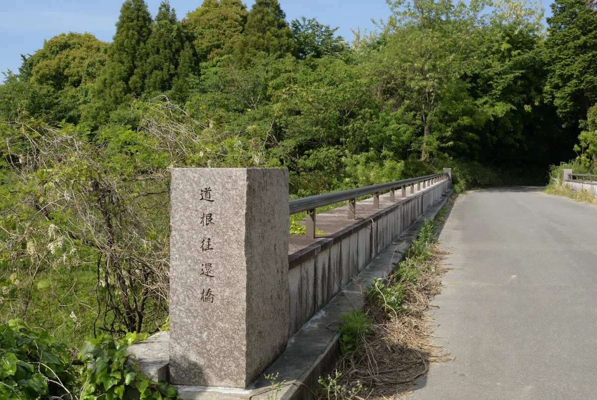 画像8