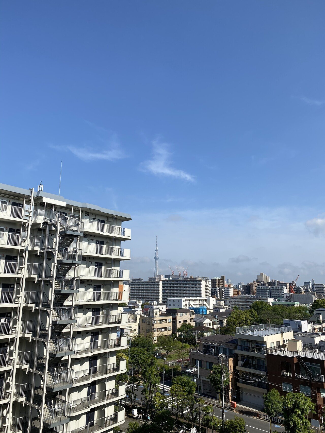 昨日の夜の雨が上がって青空が見えた朝でした 今の家に引っ越して18年あまり使ってた家具二個を粗大ゴミで出した 壁紙 にくっきりと跡が残ってる 火曜日には代わりの家具が来ます 家具を買うのも最後かな Hirokoto Note