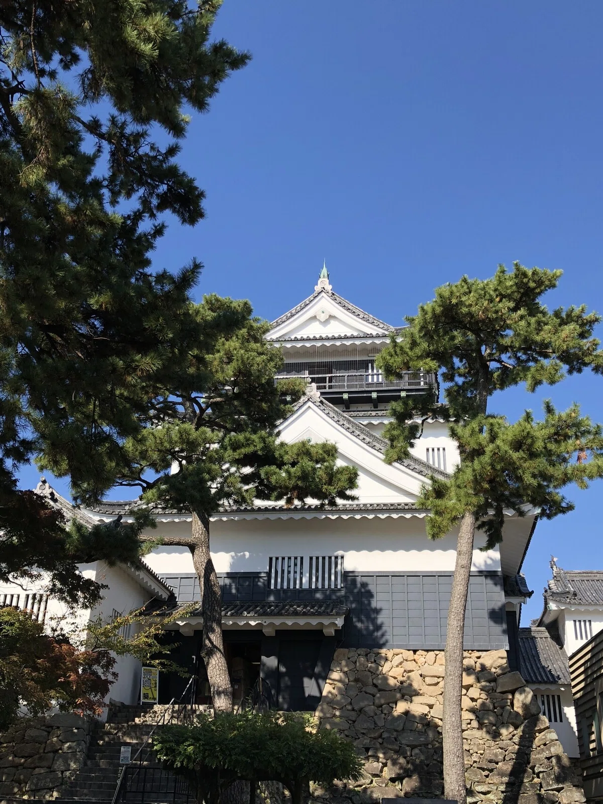 画像24