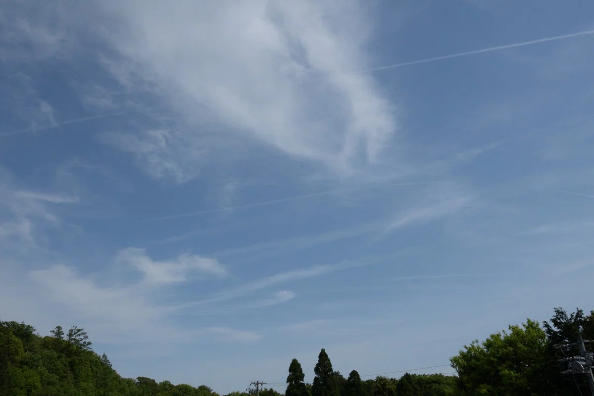 画像25