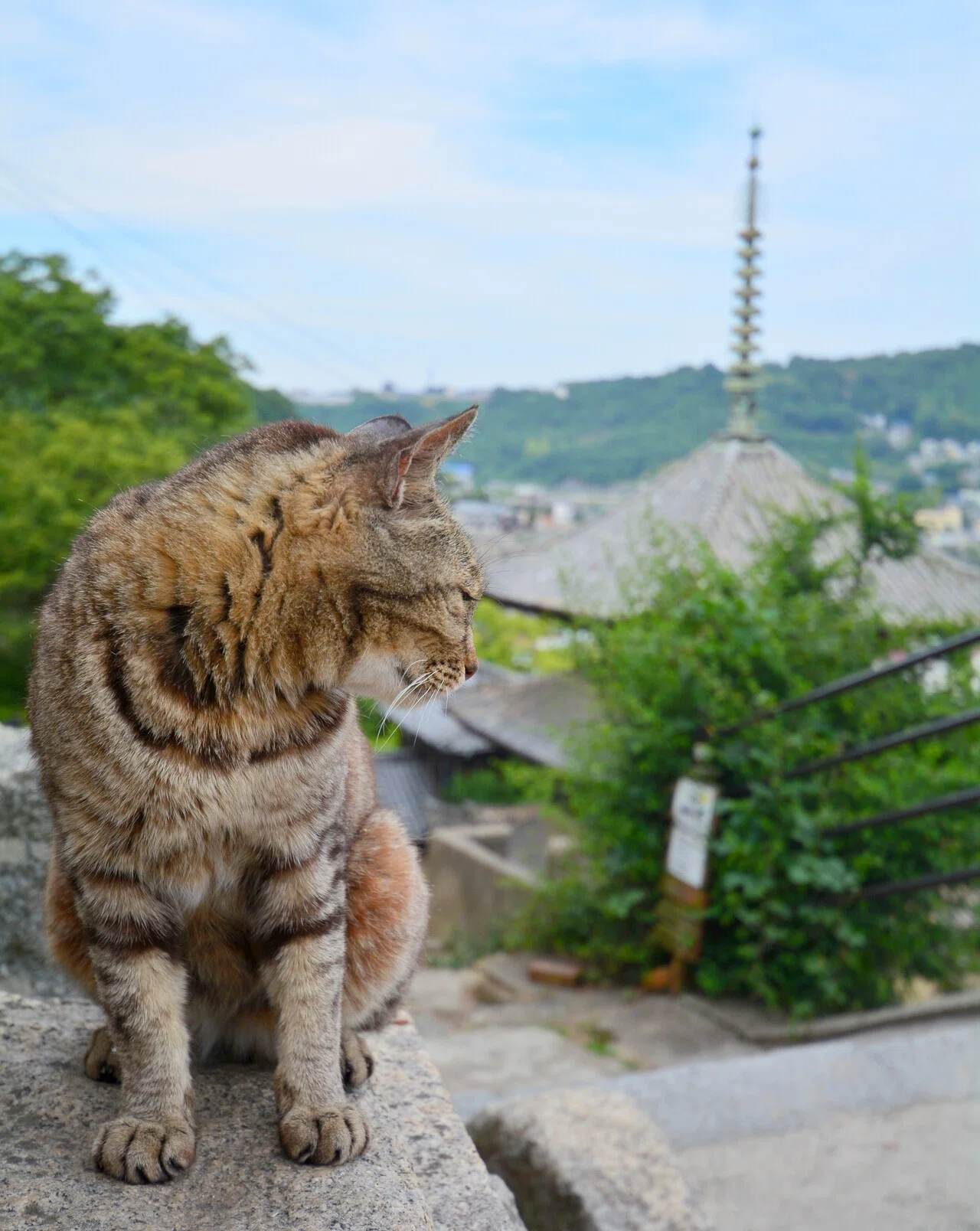 無料で尾道の風景写真を楽しめる公式サイト「おのみちや」｜宮地雄太