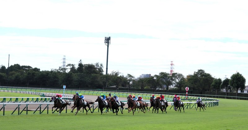 5/15（土）障害レースで大儲け！
中京8R　京都ハイジャンプ(J･GⅡ)【自信度S】           
を狙います😤