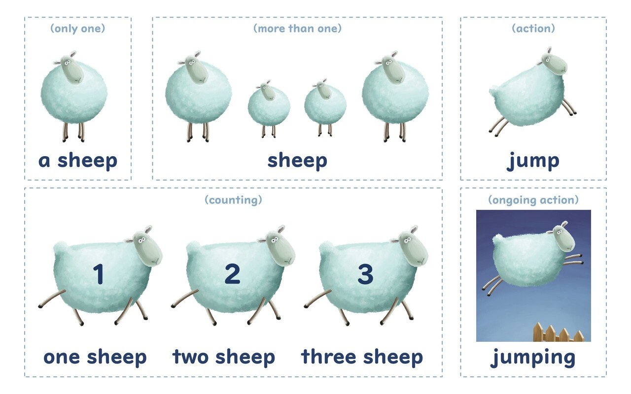 複数 形 sheep 【今日の復習】sheepの複数形は？