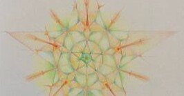 大人】植物観察からゲーテの認識論へ｜神戸シュタイナーハウス