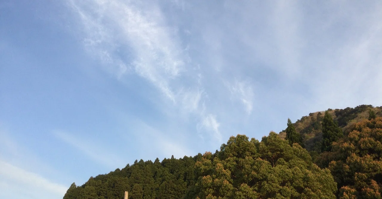 I taught an online class about haiku to advanced Japanese learners ...
