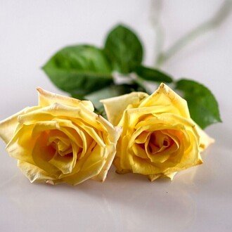 米澤穂信「ユリイカ 2007」青土社 ユリイカ2007年4月号 特集=米澤穂