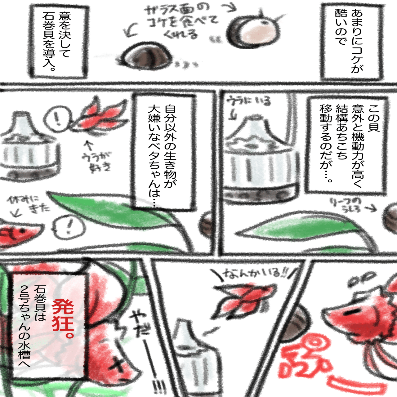 ベタにメロメロアクア記録 ７ てごねいわし つみれ Note