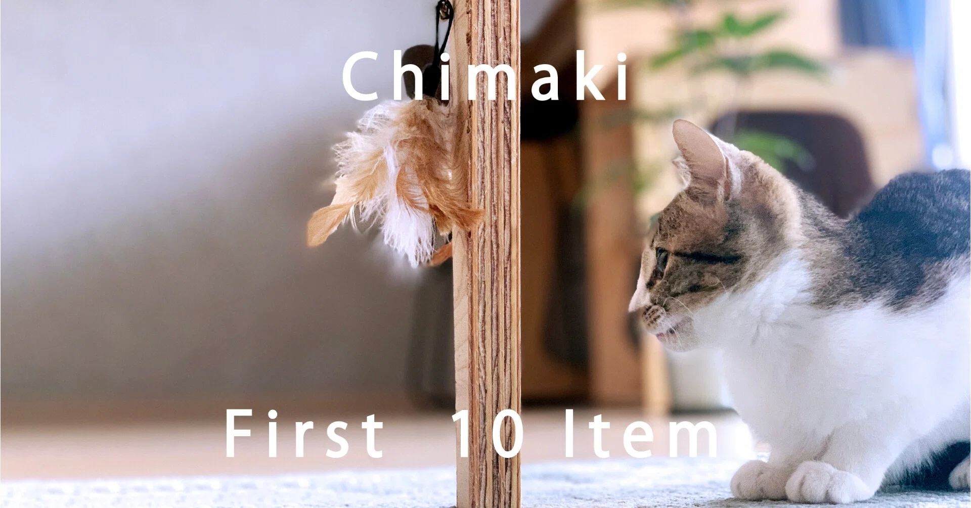 目指せ 快適な暮らし 猫とのスタート時に 買ってよかったもの 10選 ねこと 手作りのある暮らし Note