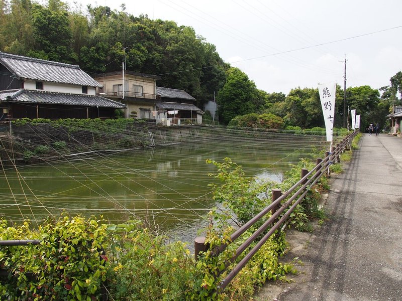 20210508峠の地蔵峰寺鯉の池 (1 - 4)