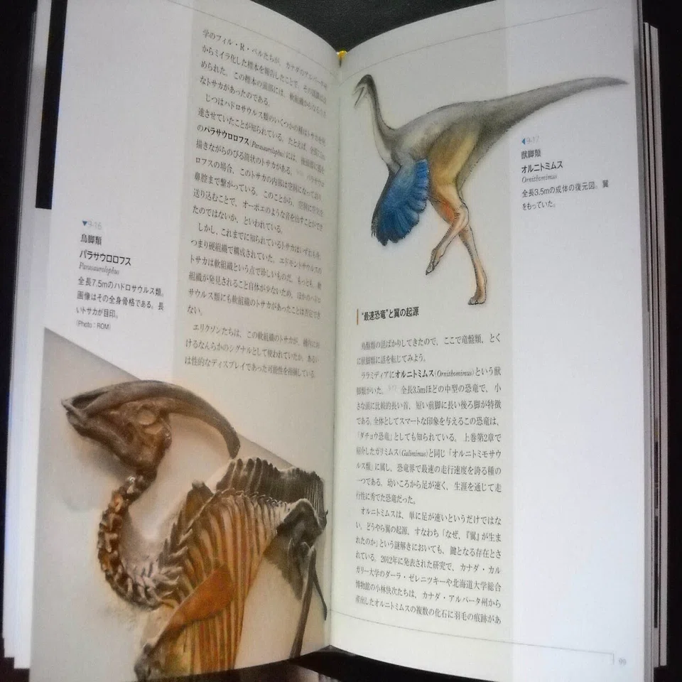 生物ミステリーPRO 全10巻+図譜 土屋健著 技術評論社(2013～17年発行 