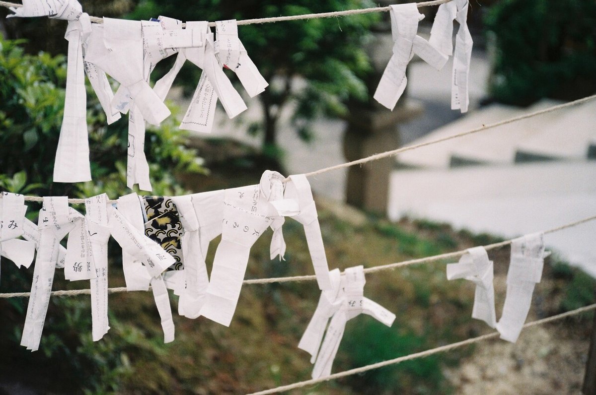 おみくじが結ばれている様子のフィルム写真。