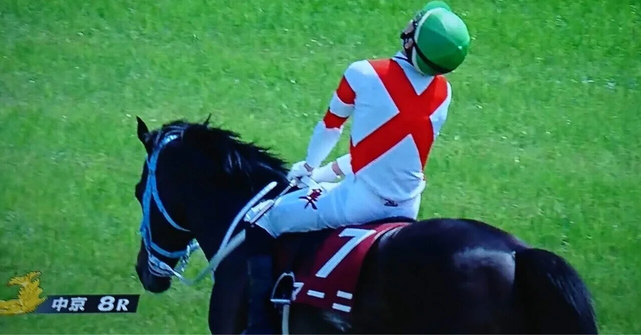 21京都ハイジャンプ回顧 ゆうぴぃ 競馬 Note