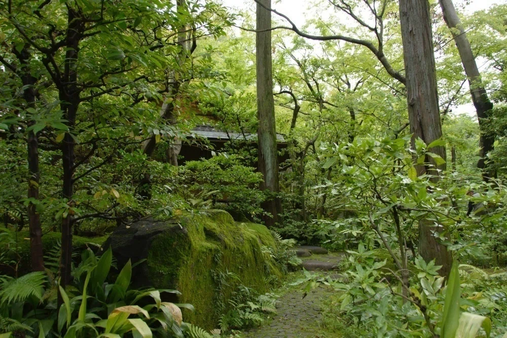 Nezu Museum: A place to visit in the lush green season.｜ぷらいまり。