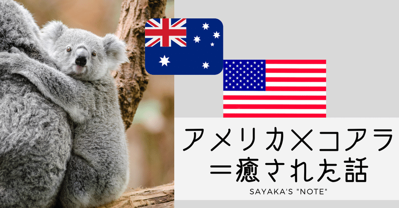 アメリカ コアラ 感染リスクゼロで 海外に 飛んで 癒された話 Sayaka Kanai 金井さやか 元祖 Toeic満点英語 コーチ イングリッシュキャンプの校長せんせい 英語の先生の先生 Note アメリカ コアラ 感染リスクゼロで 海外に 飛んで 癒された話 Sayaka Kanai 金井さやか 元祖 Toeic満点英語 コーチ イングリッシュキャンプの校長せんせい 英語の先生の先生 Note