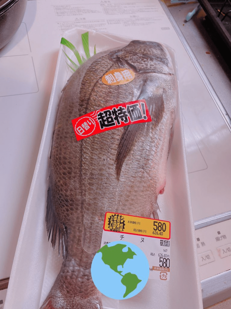 魚を裁いた Yunokii Note