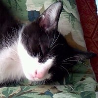 松屋のフレンチドレッシング 店員さんに聞いたら販売終了だってさ W なごやん Note