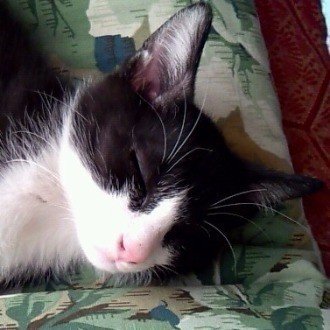 松屋のフレンチドレッシング 店員さんに聞いたら販売終了だってさ W なごやん Note 松屋のフレンチドレッシング 店員さんに聞いたら販売終了だってさ W なごやん Note