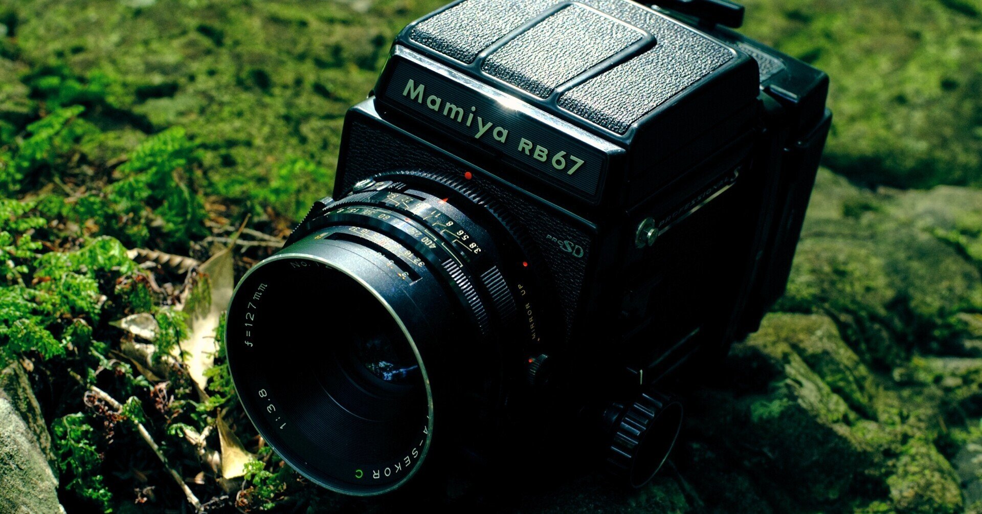 Mamiya RB67 proSD｜Haruki Sakaguchi