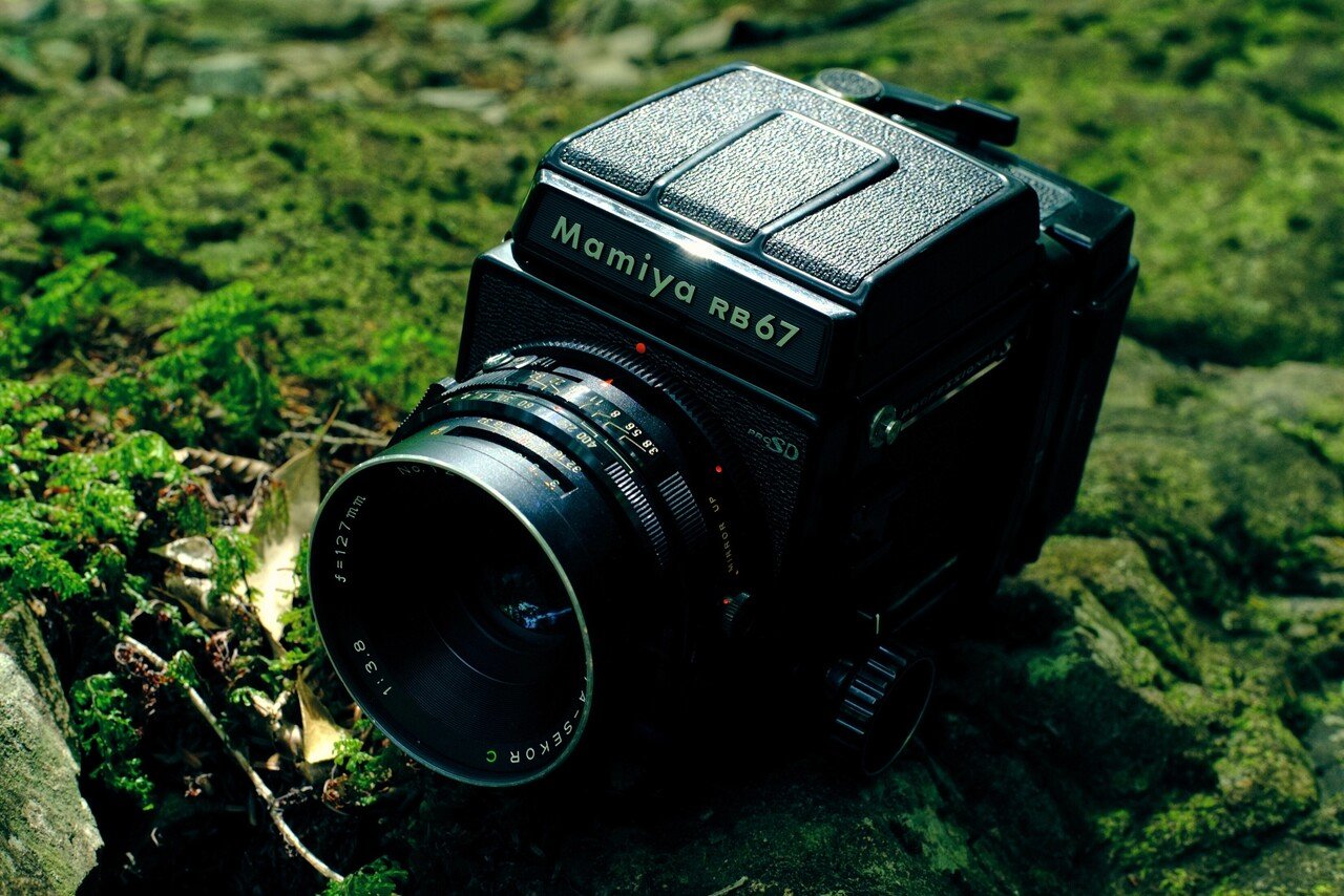 Mamiya RB67 proSD|Haruki Sakaguchi Mamiya RB67 proSD|Haruki Sakaguchi