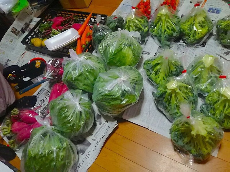 袋詰め野菜