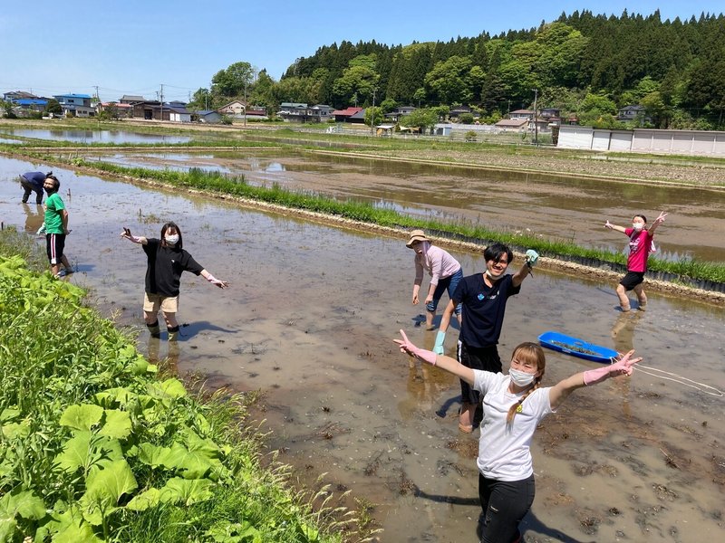 210516田植えとだまこ鍋1