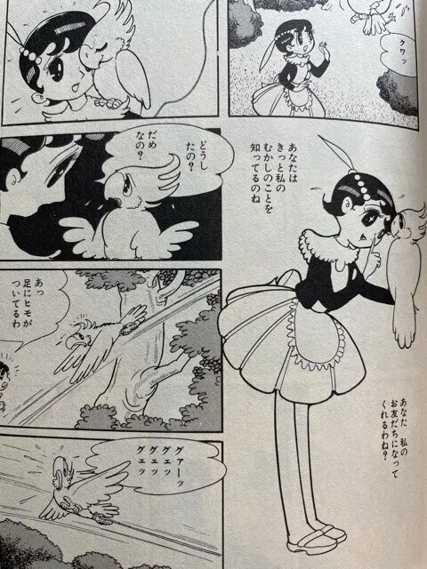 画像14