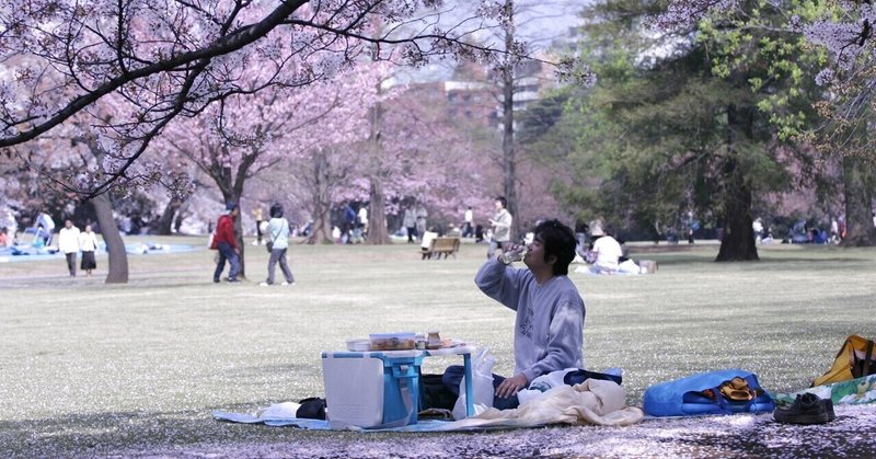 正しいお花見の楽しみ方