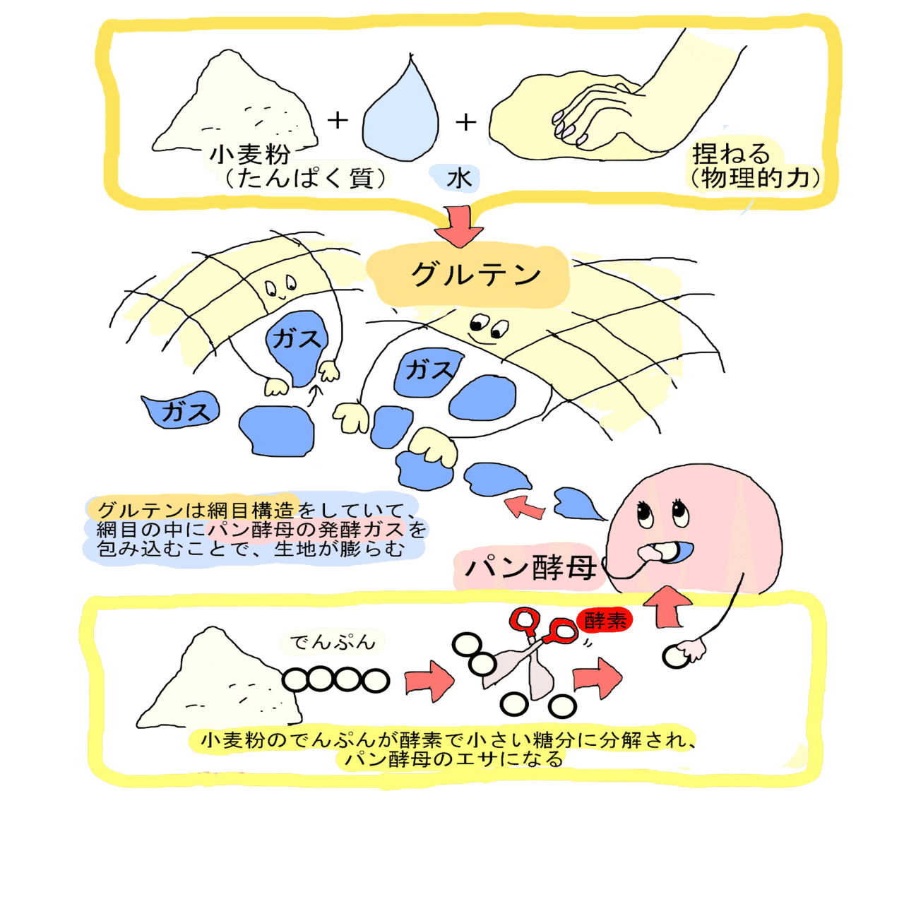 パンってどうやって作るの パン１年生のための ちょうどいいイラストと程よく専門的なパンノート Yumika 元パン屋のぱんぶろぐ Note