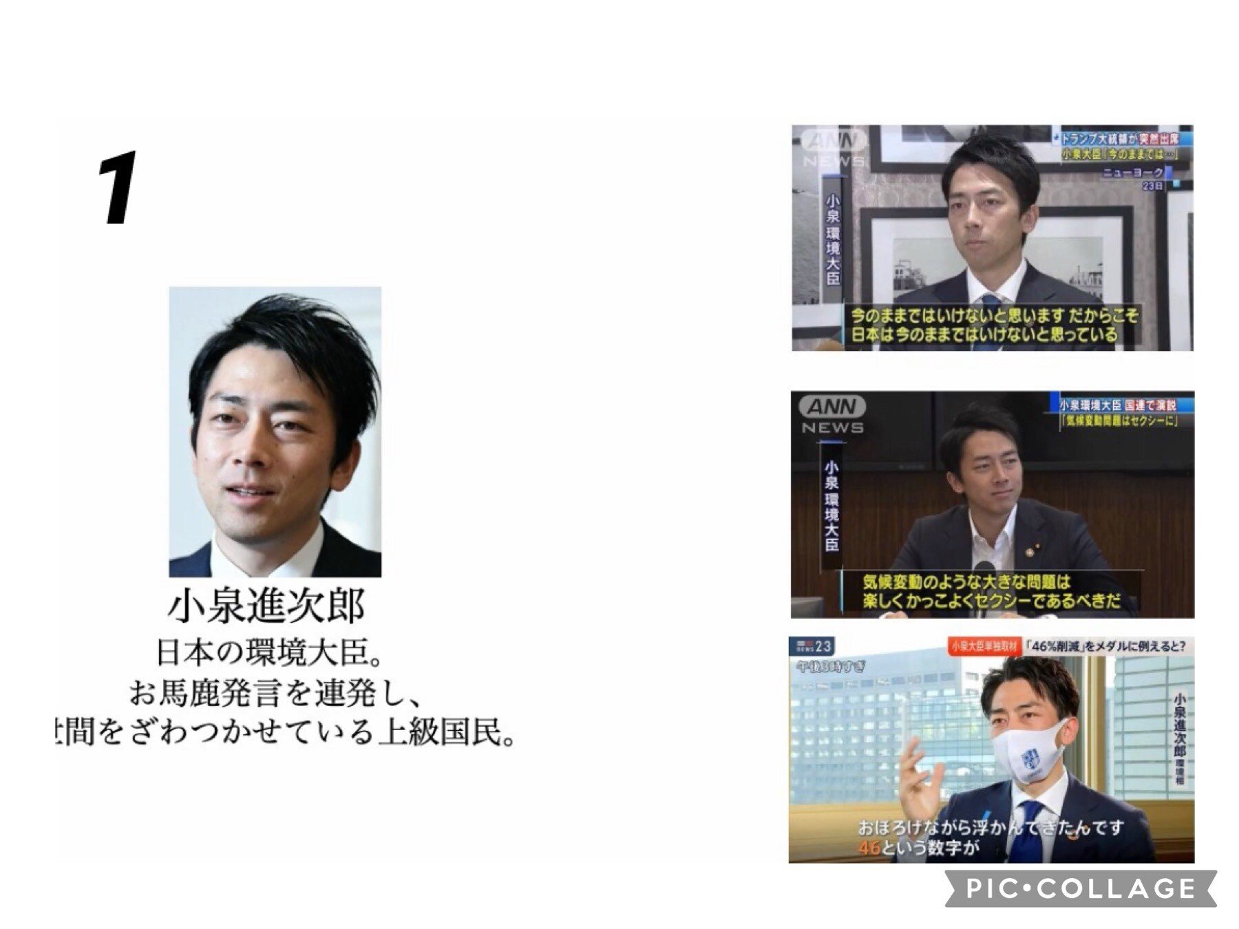小泉進次郎の正体 教科書に載せたい上級国民の系図 トマスチャンネル Rr Note