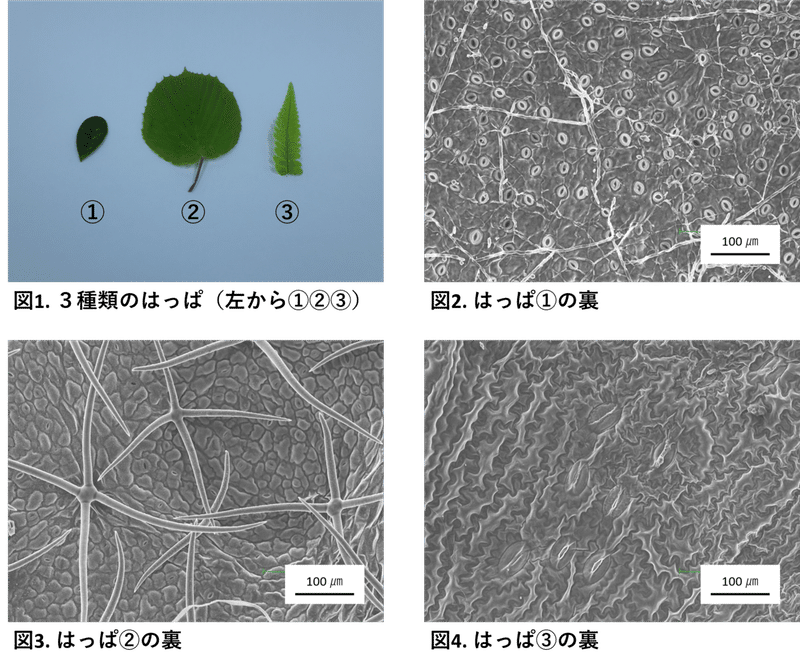 図4