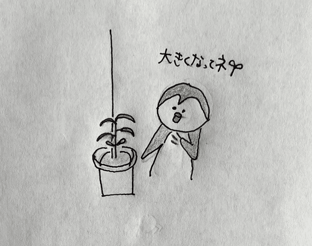 手書きイラスト あちし Note 手書きイラスト あちし Note