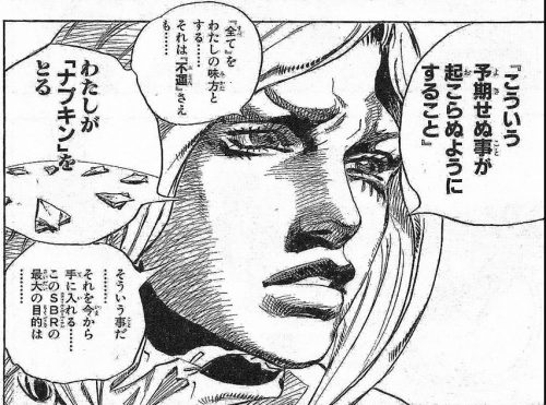Sbrレースを読み終えた私 Voustaevoyez Note Sbrレースを読み終えた私 Voustaevoyez Note