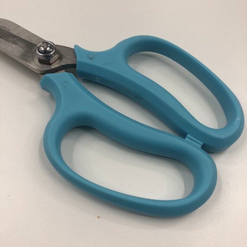 花を飾る たぬき所長 たぬき研究所 Note