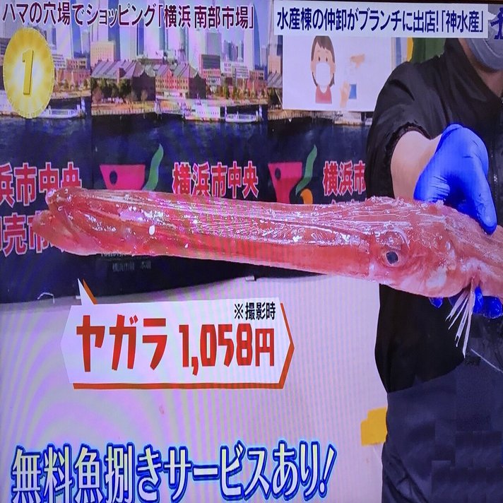 サンノジ 市場で買ったら値段はいくらする セイゴ アカヤガラ イトヨリ ワカシは メバ クロ Note