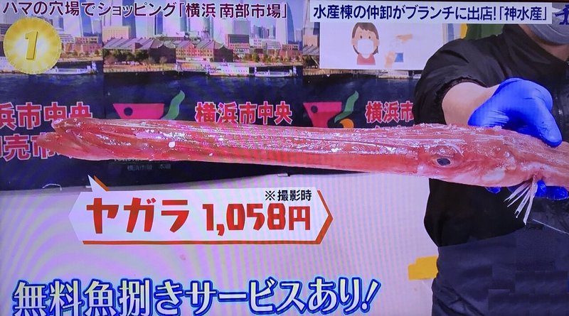 サンノジ 市場で買ったら値段はいくらする セイゴ アカヤガラ イトヨリ ワカシは メバ クロ Note