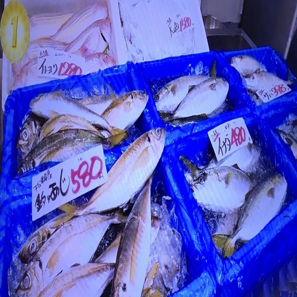 サンノジ 市場で買ったら値段はいくらする セイゴ アカヤガラ イトヨリ ワカシは メバ クロ Note