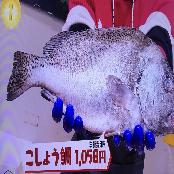 サンノジ 市場で買ったら値段はいくらする セイゴ アカヤガラ イトヨリ ワカシは メバ クロ Note