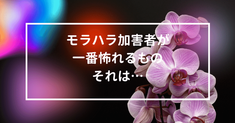 モラハラカウンセリング の新着タグ記事一覧 Note つくる つながる とどける モラハラカウンセリング の新着タグ記事一覧 Note つくる つながる とどける