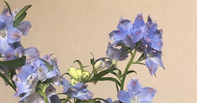 花言葉 デルフィニウム Moka Note 花言葉 デルフィニウム Moka Note