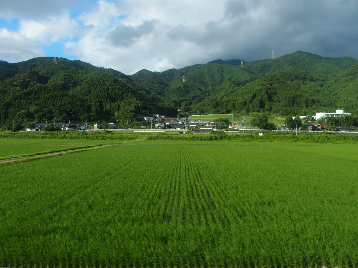 画像21