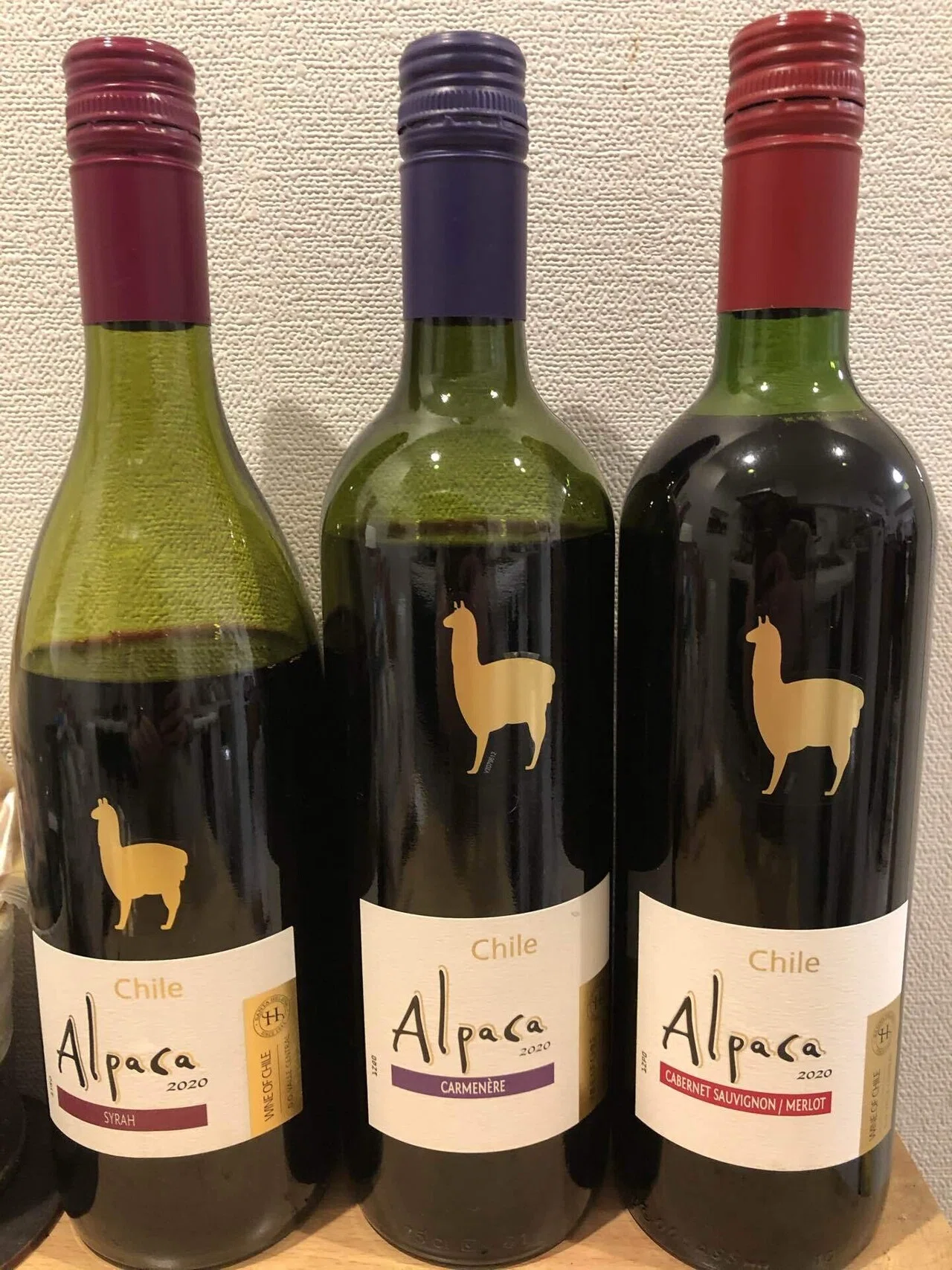 アルパカ飲み比べ！｜タカコ
